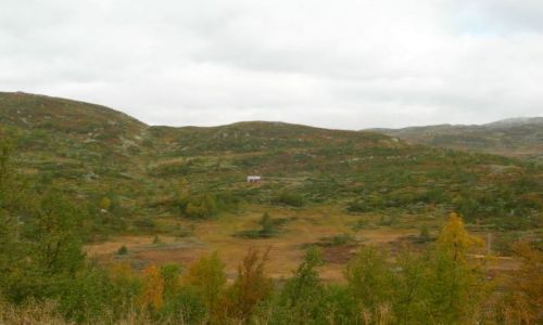 Zdjęcie NORWEGIA / Sognefiord / gdzieś na południu Norwegii / hytte