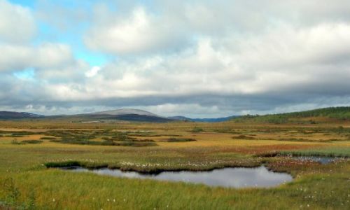 Zdjęcie NORWEGIA / Finmark / Nordkapp / Krajobraz Pólnocnej Europy