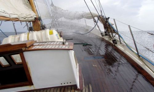 Zdjcie NORWEGIA / Morze Pnocne / Skagerrak / Shower 1