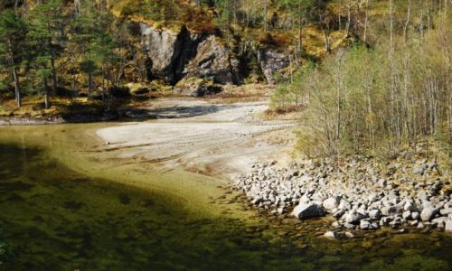 Zdjęcie NORWEGIA / Kinsarvik / Norwegia / Uroki Norwegi