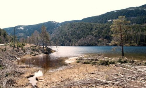 Zdjecie NORWEGIA / Hardangerfjorden / trudno określić / Fjordy - przy takich widokach śpi się w Norwegii