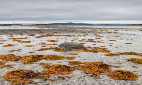 Zdjęcie NORWEGIA / - / Tautra / Na wyspie