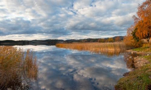Zdjecie NORWEGIA / - / Markabygda / jesie
