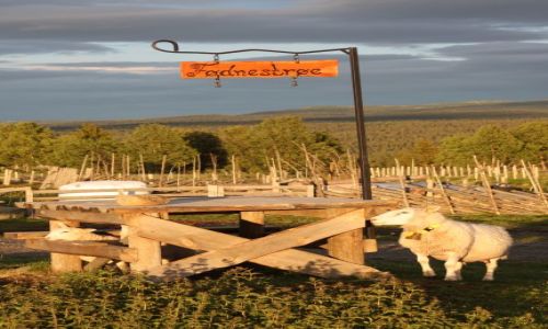 Zdjęcie NORWEGIA / Nord Aurdal / - / Przed zachodem słońca