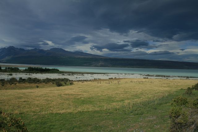 Zdjęcia: okolice Te Anau, south island, le paradis, NOWA ZELANDIA Zdjęcia: okolice Te Anau, south island, le paradis, NOWA ZELANDIA
