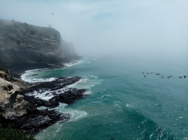 Zdj�cia: p�wysep otago, otago, otago, NOWA ZELANDIA