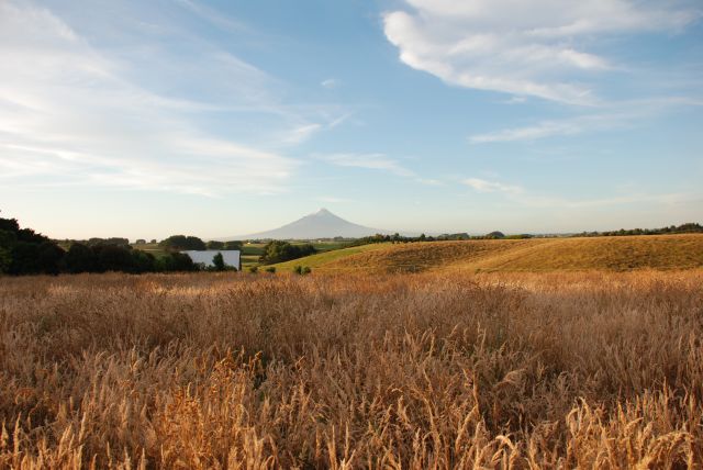 Zdjęcia: Hawera, Widok na MT Taranaki, NOWA ZELANDIA Zdjęcia: Hawera, Widok na MT Taranaki, NOWA ZELANDIA