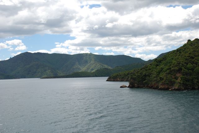 Zdjęcia: Picton, Marlborough Sound, Z Wellington do Picton , NOWA ZELANDIA Zdjęcia: Picton, Marlborough Sound, Z Wellington do Picton , NOWA ZELANDIA