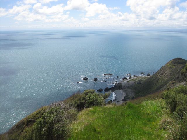 Zdjęcia: Kapiti Island- North End, Kapiti Island, Kapiti Island, NOWA ZELANDIA Zdjęcia: Kapiti Island- North End, Kapiti Island, Kapiti Island, NOWA ZELANDIA