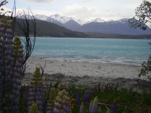Zdjęcia: Lake Tekapo, Wyspa Południowa, niezwykłe jezioro, NOWA ZELANDIA Zdjęcia: Lake Tekapo, Wyspa Południowa, niezwykłe jezioro, NOWA ZELANDIA