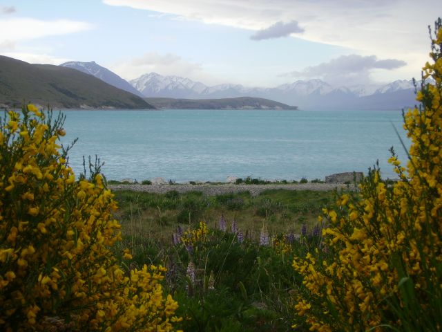 Zdjęcia: Lake Tekapo, Wyspa Południowa, jezioro, NOWA ZELANDIA Zdjęcia: Lake Tekapo, Wyspa Południowa, jezioro, NOWA ZELANDIA