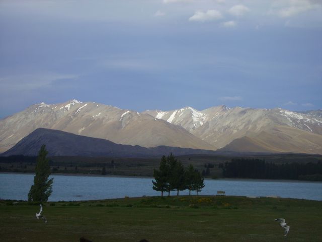 Zdjęcia: Lake Tekapo, Wyspa Południowa, jezioro, NOWA ZELANDIA Zdjęcia: Lake Tekapo, Wyspa Południowa, jezioro, NOWA ZELANDIA