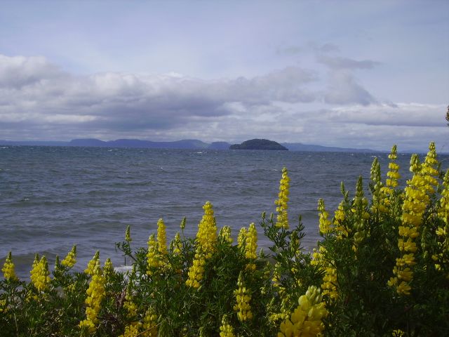 Zdjęcia: jez.Taupo, Wyspa Polnocna, jezioro Taupo, NOWA ZELANDIA Zdjęcia: jez.Taupo, Wyspa Polnocna, jezioro Taupo, NOWA ZELANDIA