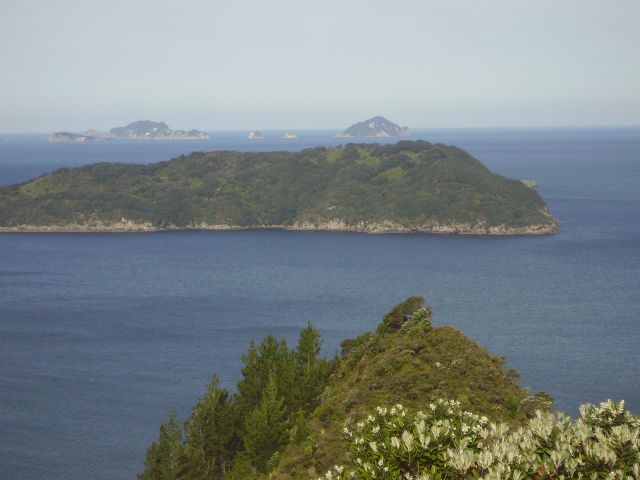 Zdjęcia: Coromandel, Wyspa Północna, South Pacyfik, NOWA ZELANDIA Zdjęcia: Coromandel, Wyspa Północna, South Pacyfik, NOWA ZELANDIA