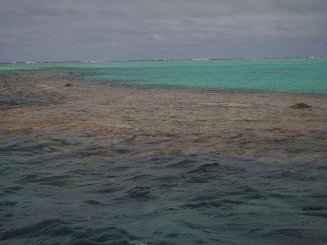 Zdjęcia: Aitutaki, Wyspy Cooka, kolory rafy, NOWA ZELANDIA Zdjęcia: Aitutaki, Wyspy Cooka, kolory rafy, NOWA ZELANDIA