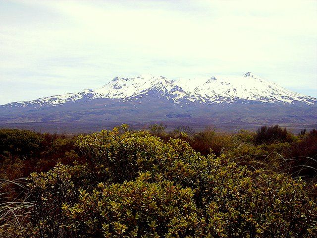 Zdjęcia: Tongariro Nat.Park, Wyspa Pólnocna, wulkan Rupaheu, NOWA ZELANDIA Zdjęcia: Tongariro Nat.Park, Wyspa Pólnocna, wulkan Rupaheu, NOWA ZELANDIA