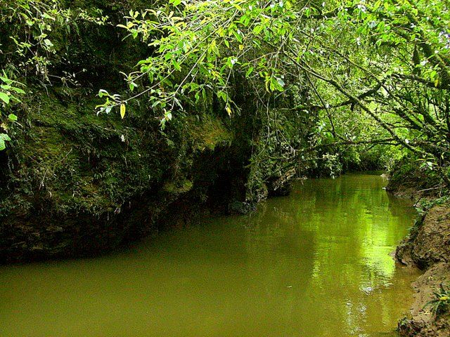 Zdjęcia: Waitomo Caves, Wyspa Północna, ukryta rzeka, NOWA ZELANDIA Zdjęcia: Waitomo Caves, Wyspa Północna, ukryta rzeka, NOWA ZELANDIA