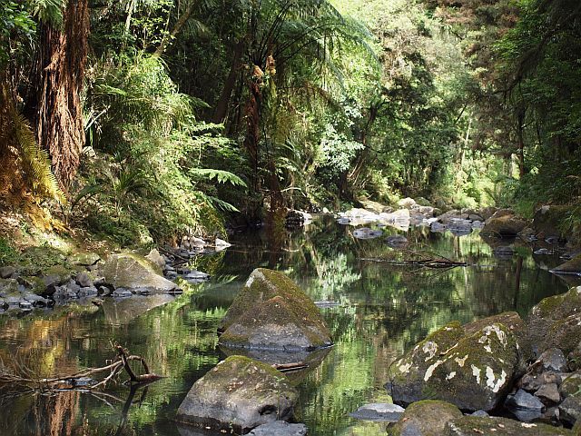 Zdjęcia: okolice Whangarei, Northlad, Whangarei river, NOWA ZELANDIA Zdjęcia: okolice Whangarei, Northlad, Whangarei river, NOWA ZELANDIA