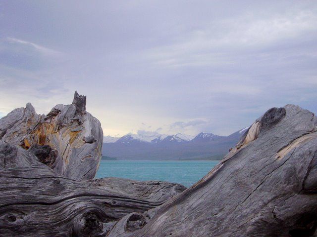 Zdjęcia: Lake Tekapo, Wyspa Południowa, Jezioro w ramach z drewna, NOWA ZELANDIA Zdjęcia: Lake Tekapo, Wyspa Południowa, Jezioro w ramach z drewna, NOWA ZELANDIA