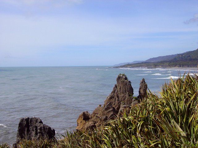 Zdjęcia: Paparoa Nat. Park, Westland, wybrzeże Morza Tasmana, NOWA ZELANDIA Zdjęcia: Paparoa Nat. Park, Westland, wybrzeże Morza Tasmana, NOWA ZELANDIA