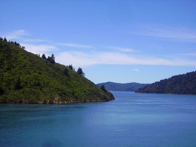 Zdjęcia: Charlotte Sound, Wyspa Południowa, rejs przez Charlotte Sound, NOWA ZELANDIA Zdjęcia: Charlotte Sound, Wyspa Południowa, rejs przez Charlotte Sound, NOWA ZELANDIA