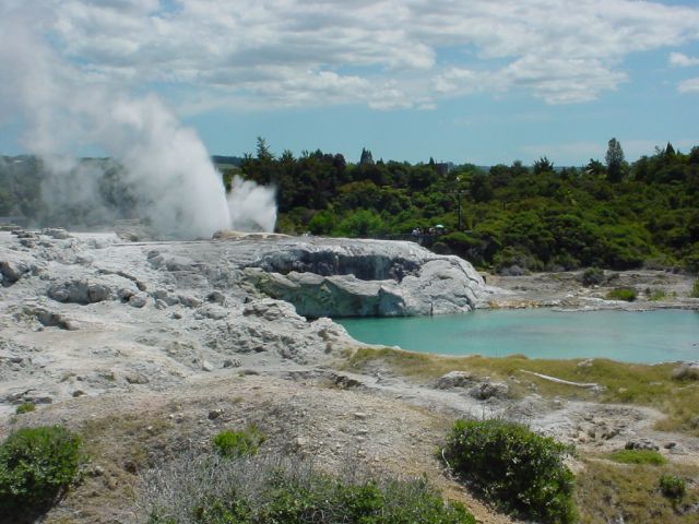 Zdjęcia: tauranga, new zealand , NOWA ZELANDIA Zdjęcia: tauranga, new zealand , NOWA ZELANDIA
