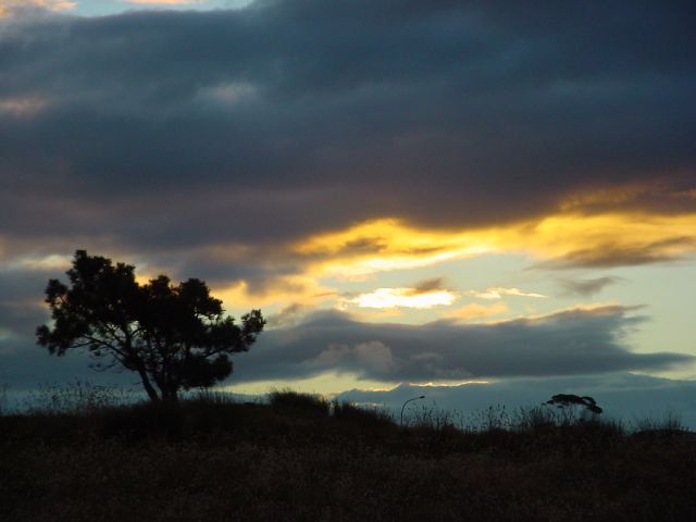 Zdjęcia: tauranga, new zealand , NOWA ZELANDIA Zdjęcia: tauranga, new zealand , NOWA ZELANDIA