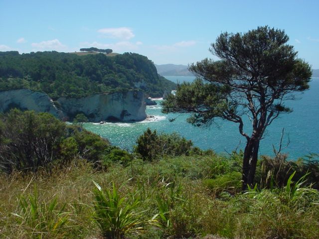 Zdjęcia: tauranga, new zealand , NOWA ZELANDIA Zdjęcia: tauranga, new zealand , NOWA ZELANDIA