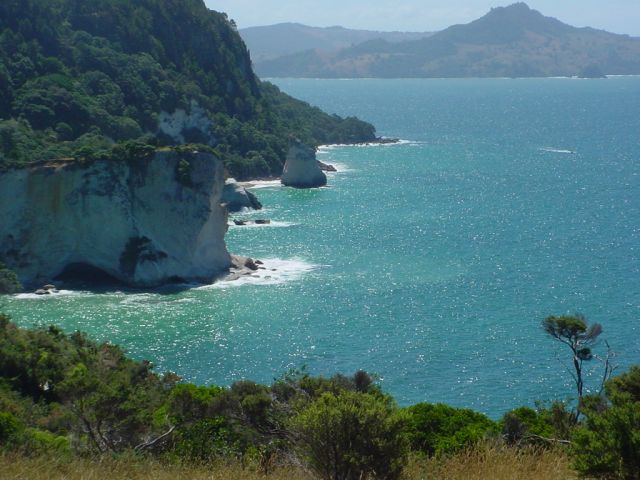 Zdjęcia: tauranga , new zealand , NOWA ZELANDIA Zdjęcia: tauranga , new zealand , NOWA ZELANDIA