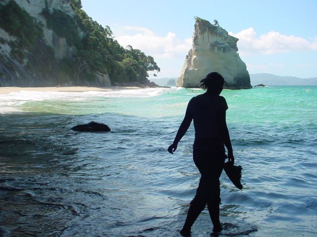 Zdjęcia: tauranga, new zealand , NOWA ZELANDIA Zdjęcia: tauranga, new zealand , NOWA ZELANDIA