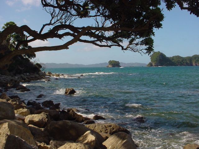 Zdjęcia: tauranga, new zealand , NOWA ZELANDIA Zdjęcia: tauranga, new zealand , NOWA ZELANDIA