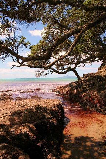 Zdjęcia: Waipu, Coromandel, plaza, NOWA ZELANDIA Zdjęcia: Waipu, Coromandel, plaza, NOWA ZELANDIA