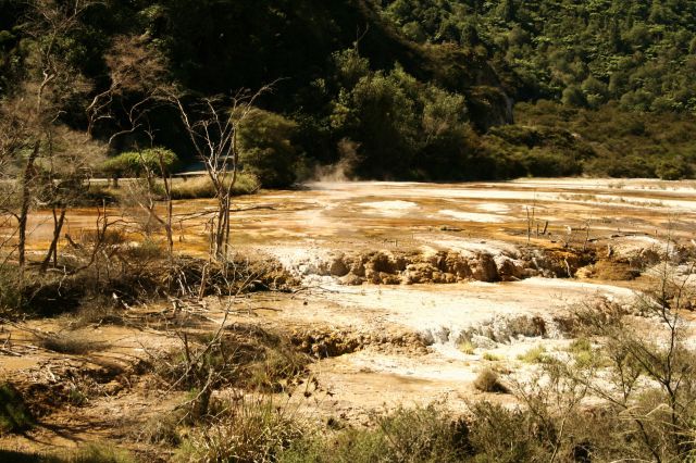Zdjęcia: Rotorua, gorace zrodla , NOWA ZELANDIA Zdjęcia: Rotorua, gorace zrodla , NOWA ZELANDIA