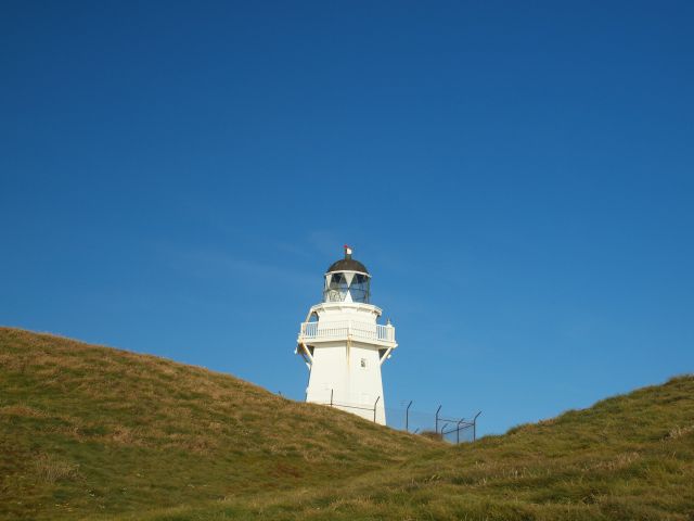 Zdjęcia: Waipapa Point Lighthouse, South Island, konkurs latarnie morskie, NOWA ZELANDIA Zdjęcia: Waipapa Point Lighthouse, South Island, konkurs latarnie morskie, NOWA ZELANDIA