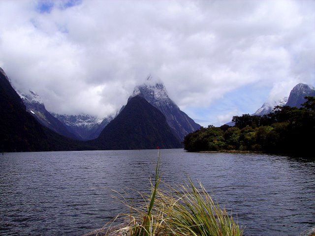 Zdjęcia: Milford Sound, -Południowa Wyspa, Milford Sound, NOWA ZELANDIA Zdjęcia: Milford Sound, -Południowa Wyspa, Milford Sound, NOWA ZELANDIA
