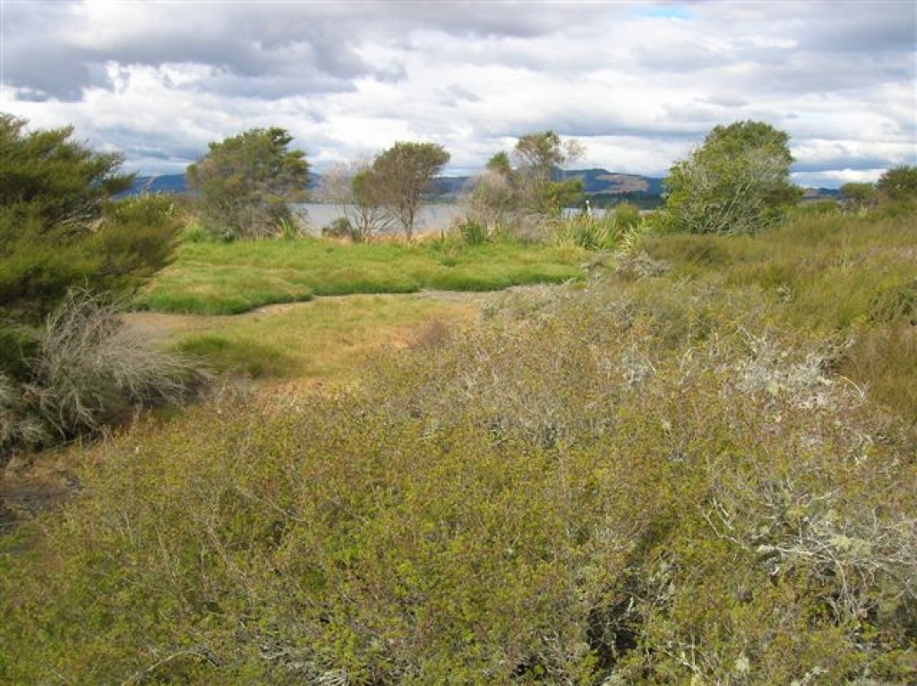 Zdjęcia: Rotorua, PN. wyspa, Rotorua-miejsce gejzerow, NOWA ZELANDIA Zdjęcia: Rotorua, PN. wyspa, Rotorua-miejsce gejzerow, NOWA ZELANDIA