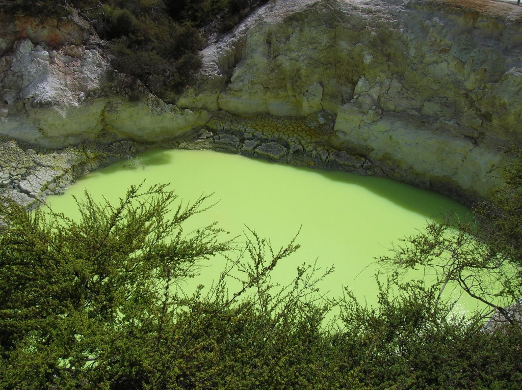 Zdjęcia: park gejzerow, Rotorua, Zielone jezioro gejzreu.., NOWA ZELANDIA Zdjęcia: park gejzerow, Rotorua, Zielone jezioro gejzreu.., NOWA ZELANDIA