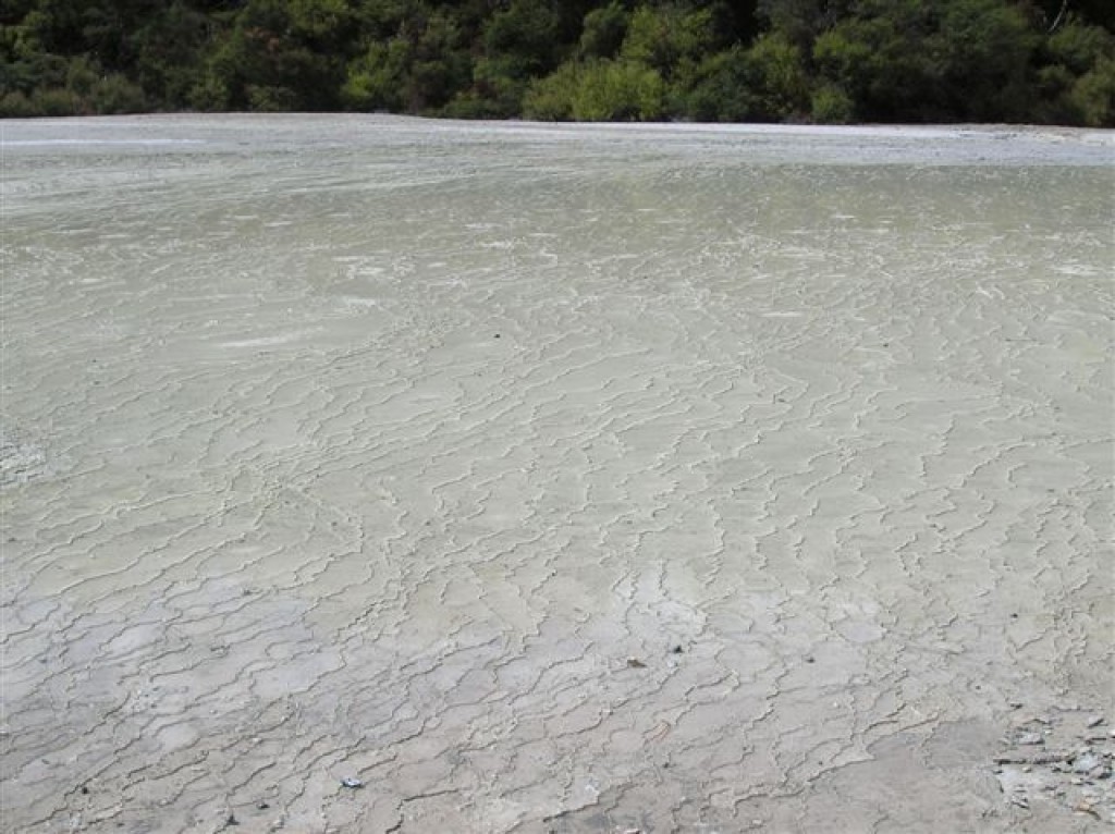 Zdjęcia: Park gejzerow, Rotorua, Gorace tarasy, NOWA ZELANDIA Zdjęcia: Park gejzerow, Rotorua, Gorace tarasy, NOWA ZELANDIA