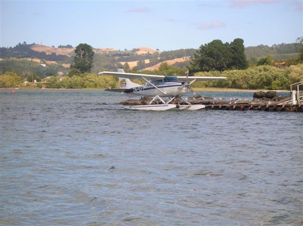 Zdjęcia: Nad Jeziorem Lake taupo, Srodkowa pn.wyspa, Lake Taupo, NOWA ZELANDIA Zdjęcia: Nad Jeziorem Lake taupo, Srodkowa pn.wyspa, Lake Taupo, NOWA ZELANDIA
