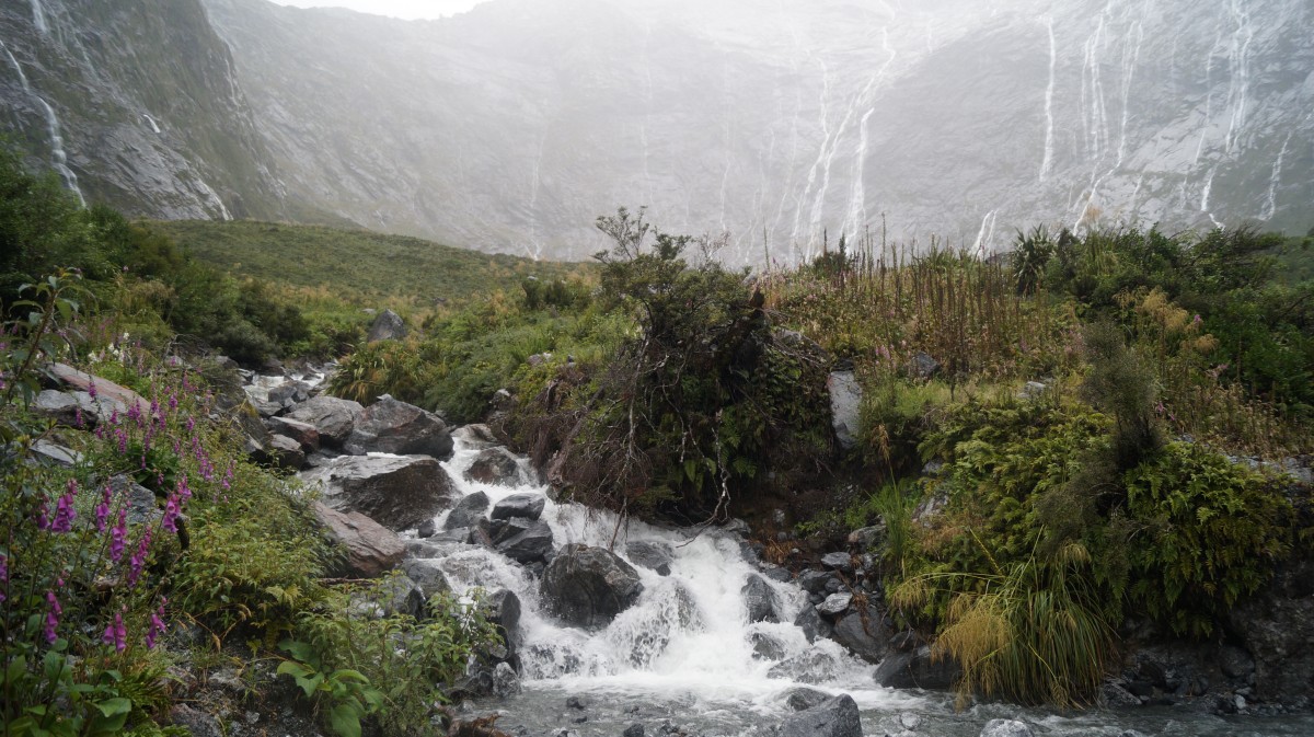 Zdjęcia: Fiordlandia, Wyspa Południowa, Ulewa w Fiordlandii, NOWA ZELANDIA Zdjęcia: Fiordlandia, Wyspa Południowa, Ulewa w Fiordlandii, NOWA ZELANDIA