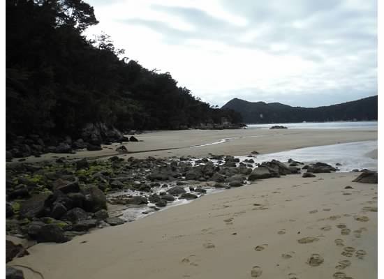 Zdjęcia: szlak, wyspa południowa, Abel Tasman, NOWA ZELANDIA Zdjęcia: szlak, wyspa południowa, Abel Tasman, NOWA ZELANDIA