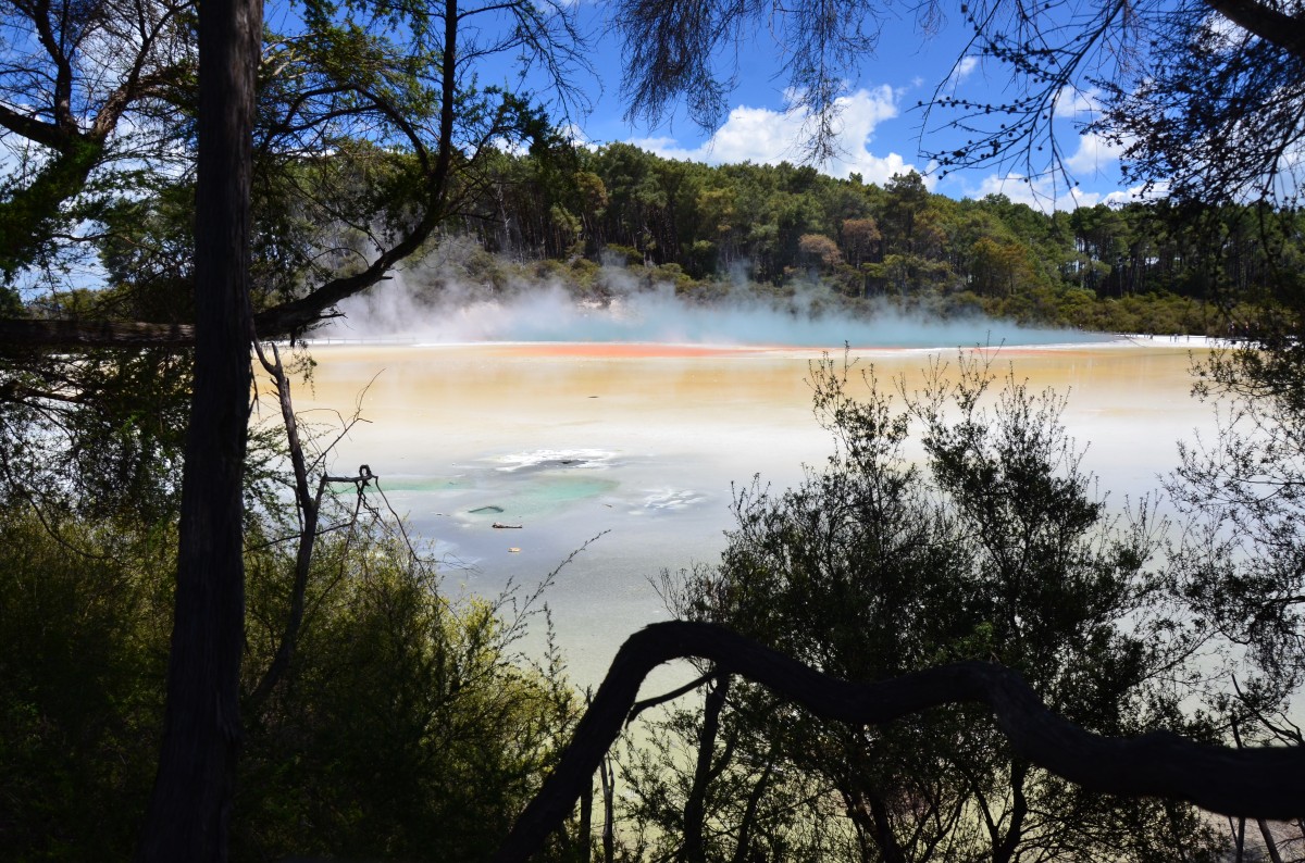 Zdjęcia: Wai-o-Tapu, Rotorua, Jezioro Szampańskie, NOWA ZELANDIA Zdjęcia: Wai-o-Tapu, Rotorua, Jezioro Szampańskie, NOWA ZELANDIA