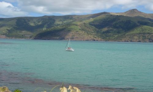 Zdjecie NOWA ZELANDIA / Wyspa Poudniowa / Akaroa / Pwysep Banksa