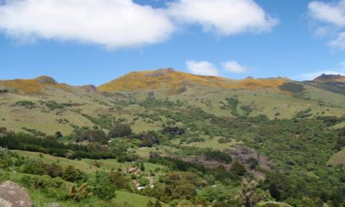 Zdjecie NOWA ZELANDIA / Wyspa Poudniowa / Akaroa / Pwysep Banksa 2