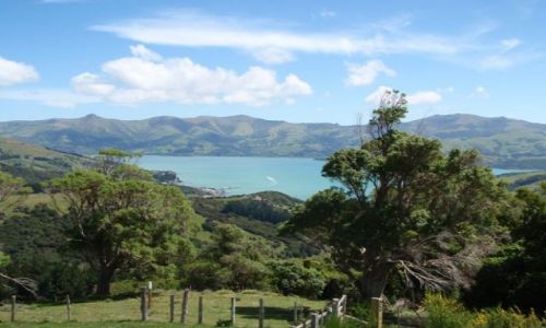 Zdjecie NOWA ZELANDIA / Wyspa Poudniowa / Akaroa / Pwysep Banksa3