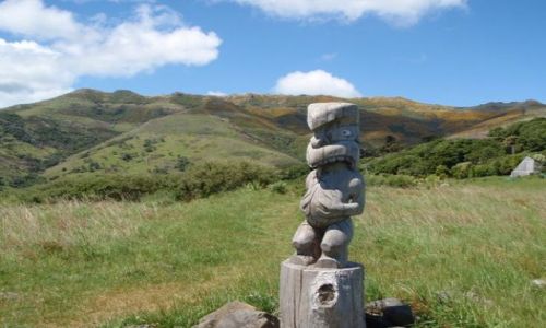 Zdjecie NOWA ZELANDIA / Wyspa Poudniowa / Akaroa / Pwysep Banksa 4