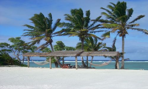 Zdjecie NOWA ZELANDIA / Cook Islands / Atol Atiutaki / Trzy wspaniale palmy