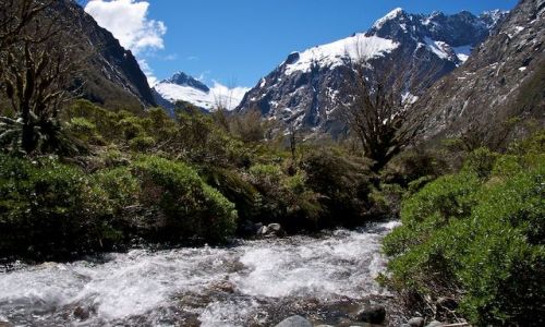 Zdjecie NOWA ZELANDIA / - / Milford Sound / Rzeczka w gorach (New Zealand)