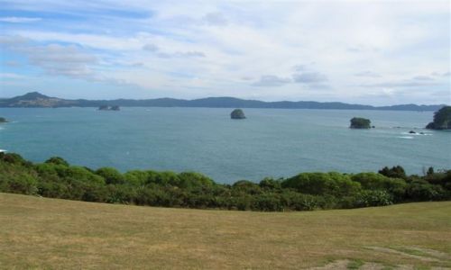 Zdjcie NOWA ZELANDIA / Polnocna wyspa / Coromandel peninsula  / Droga do Cathedral Cove