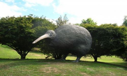 Zdjcie NOWA ZELANDIA / Pn. wyspa / Te Puke / Ptak Kiwi-Rzezba